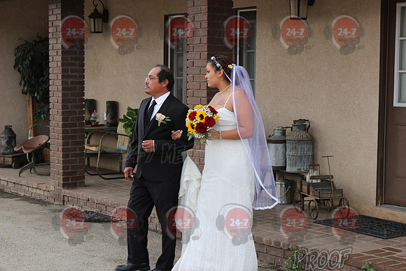 IMG_0129